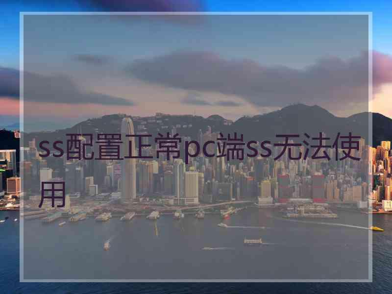 ss配置正常pc端ss无法使用