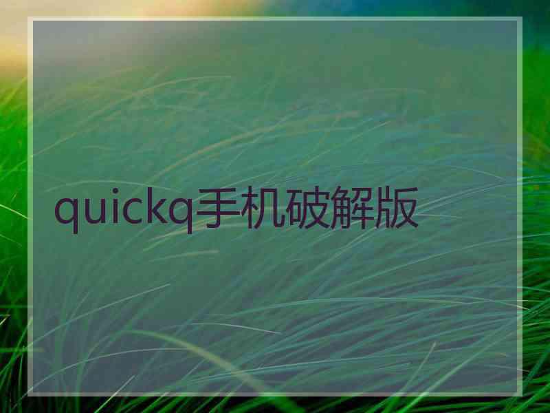 quickq手机破解版