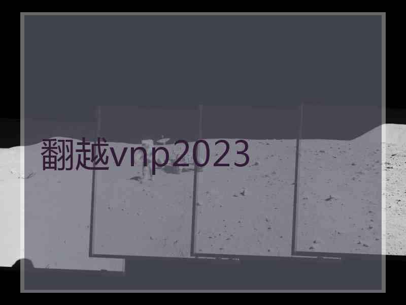 翻越vnp2023