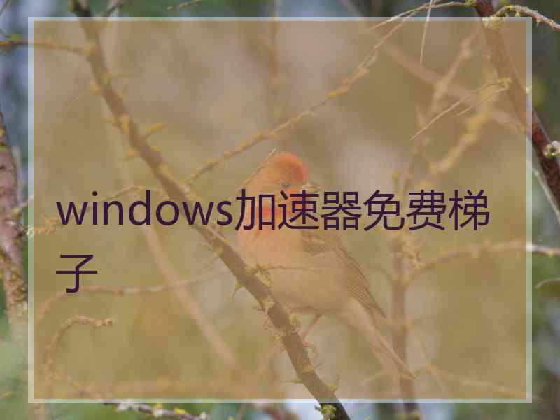 windows加速器免费梯子